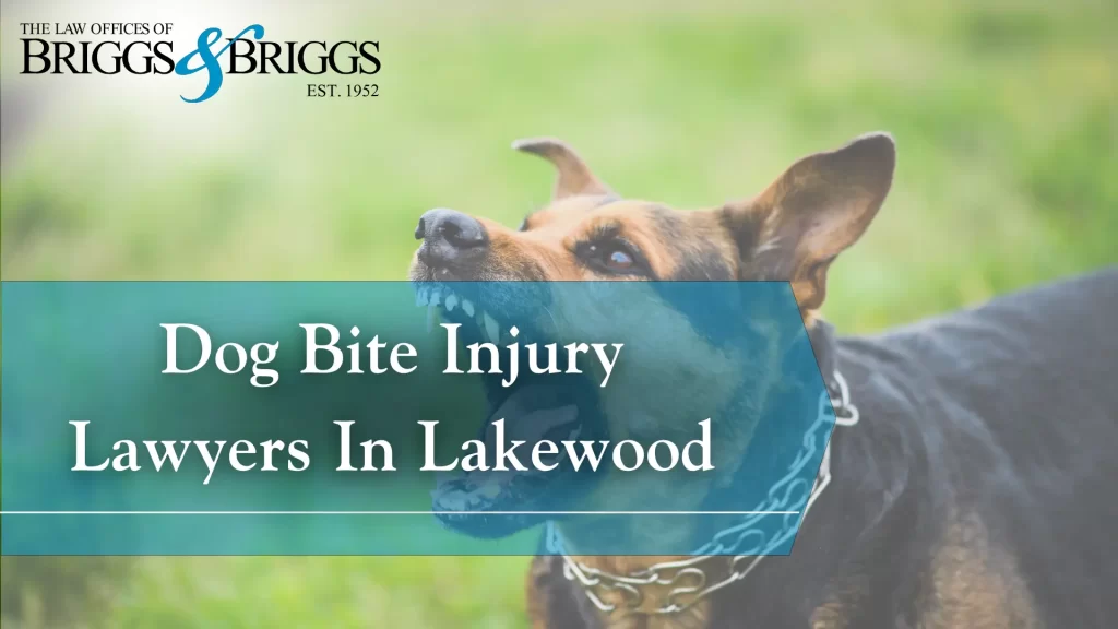 Dog Bite Injury Lawyers In Lakewood