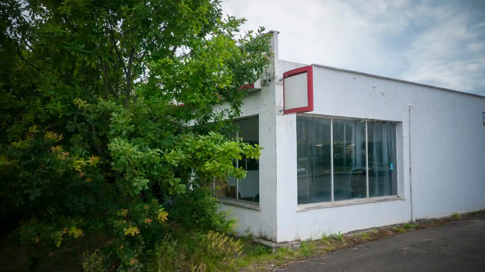 Exterior of an empty white building with large glass windows, partly obscured by green trees and plants.